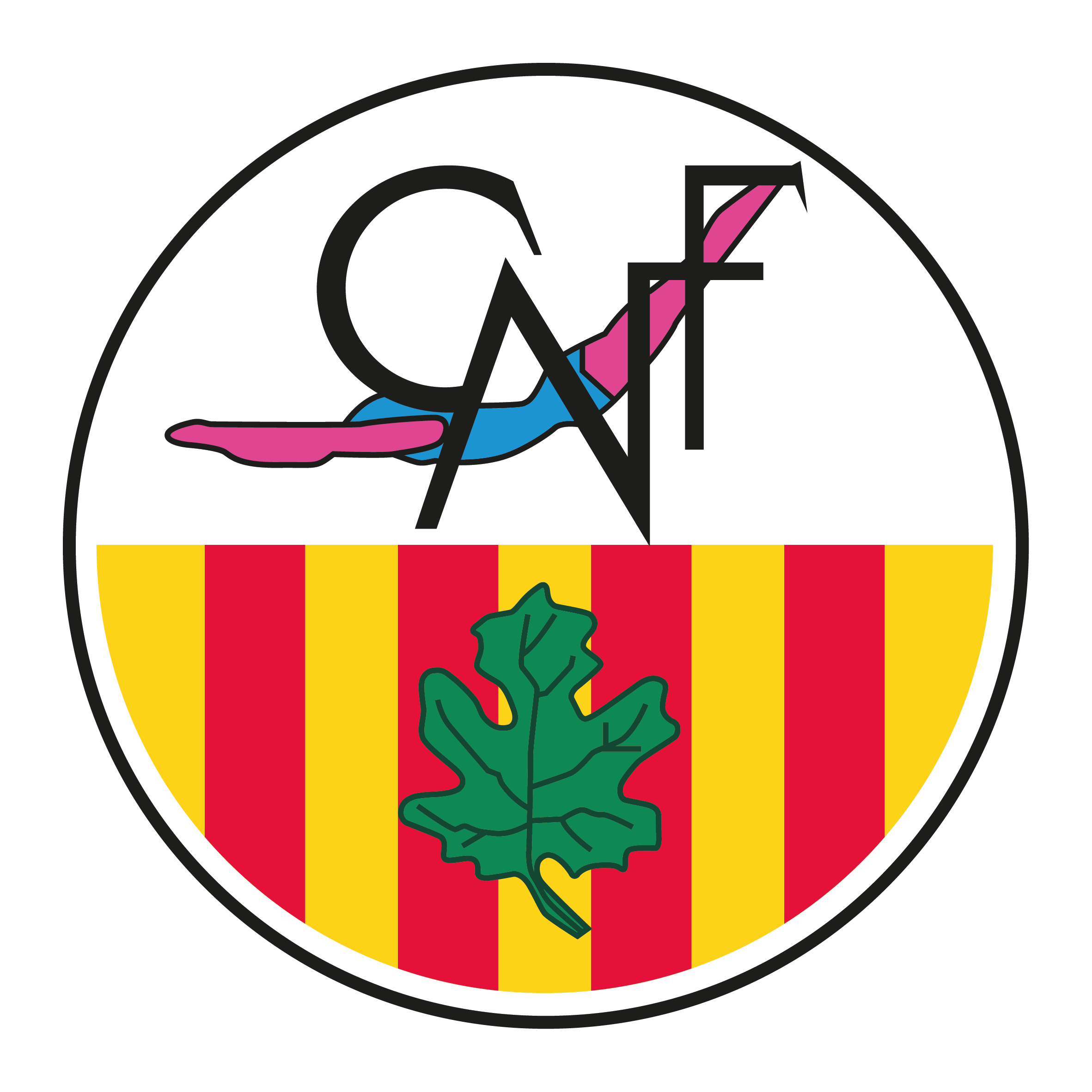 Club Natació Figueres